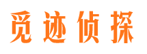 宁陵侦探公司